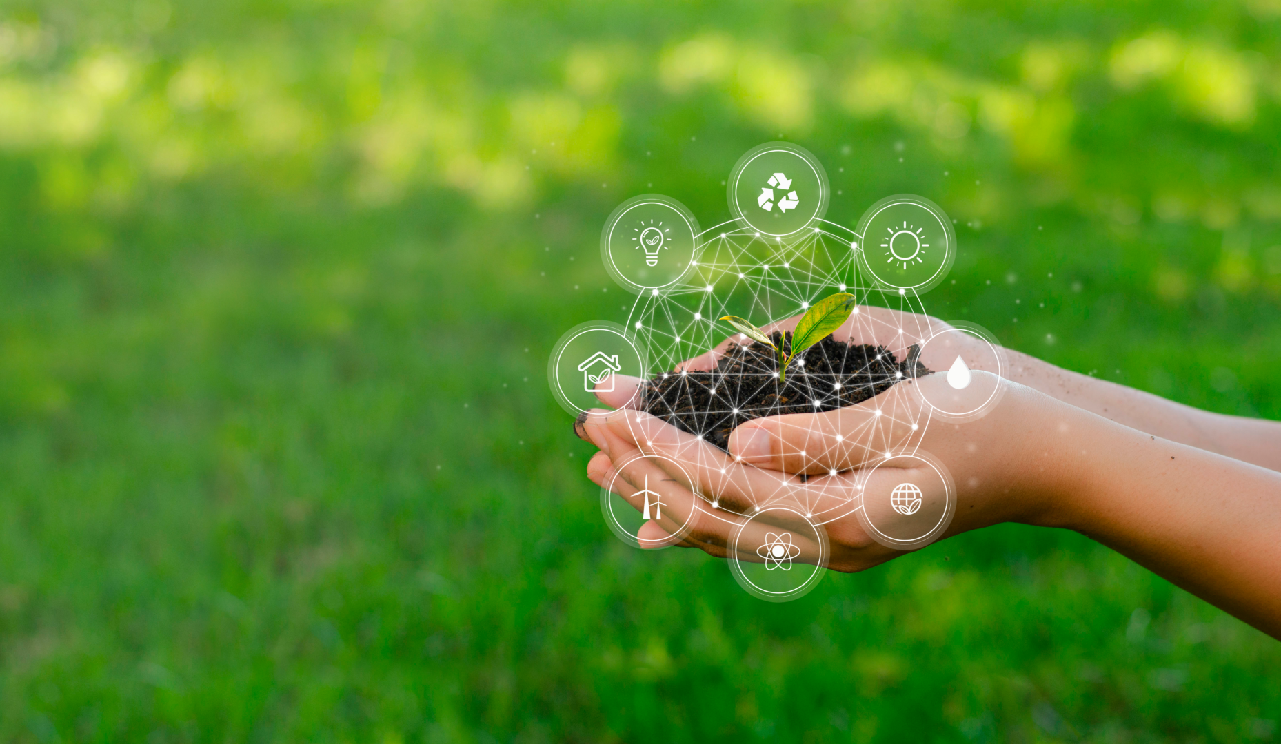 Você já ouviu falar em finanças sustentáveis?