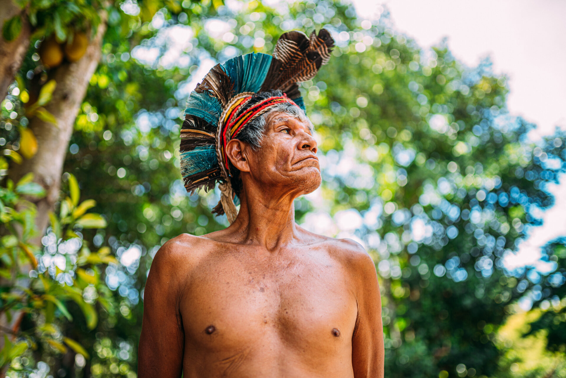 Povos indígenas são considerados vitais na preservação da biodiversidade