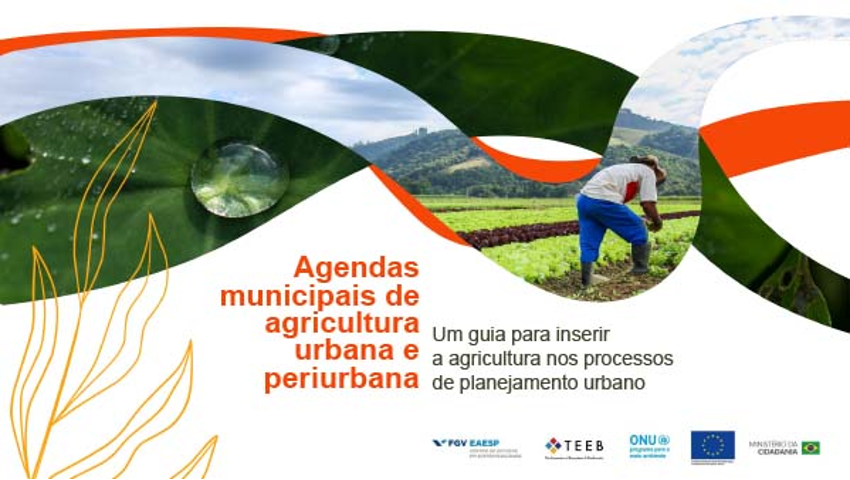 Guia ajuda gestores públicos a multiplicar iniciativas de agricultura urbana