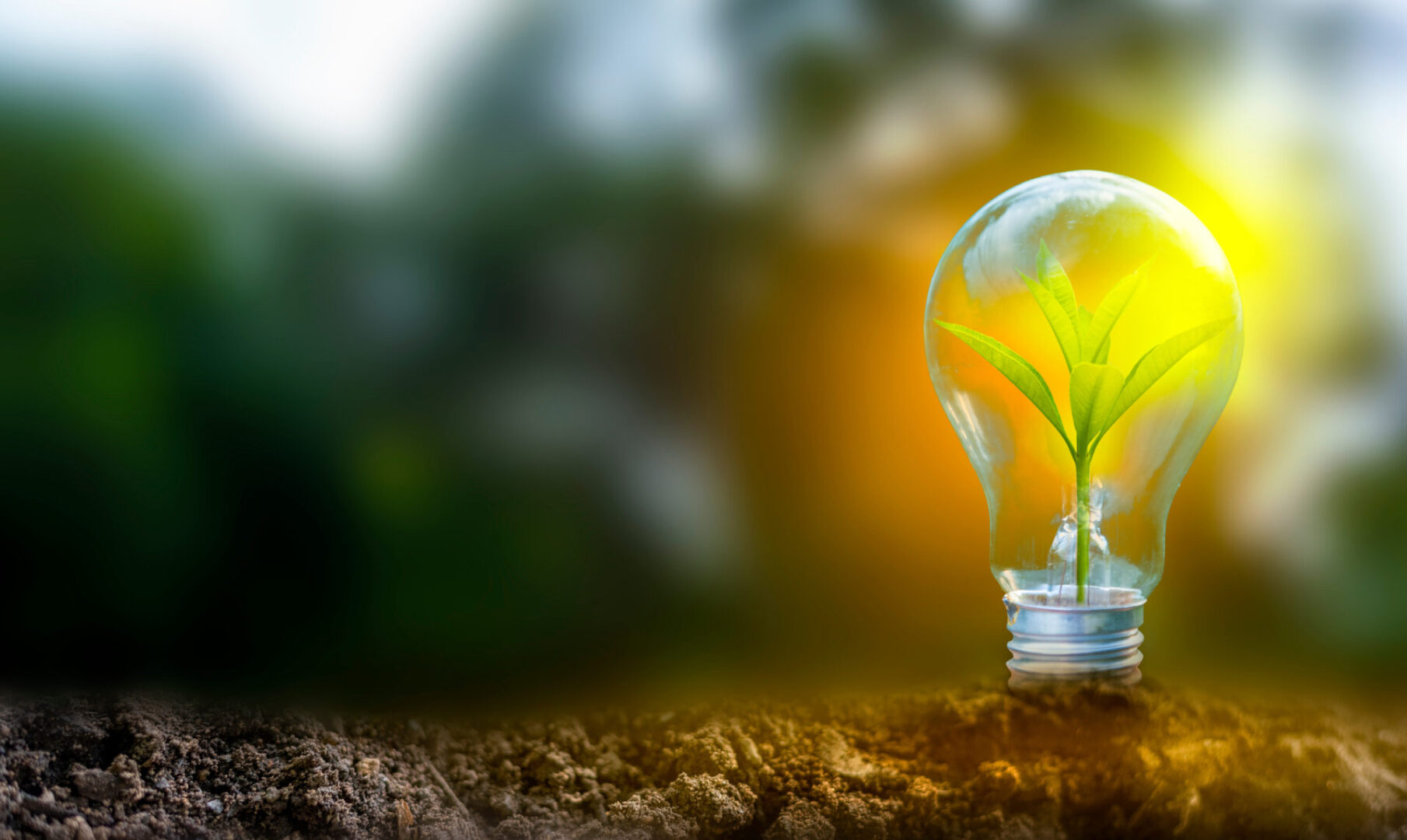 Brasil: matriz energética diversificada e limpa