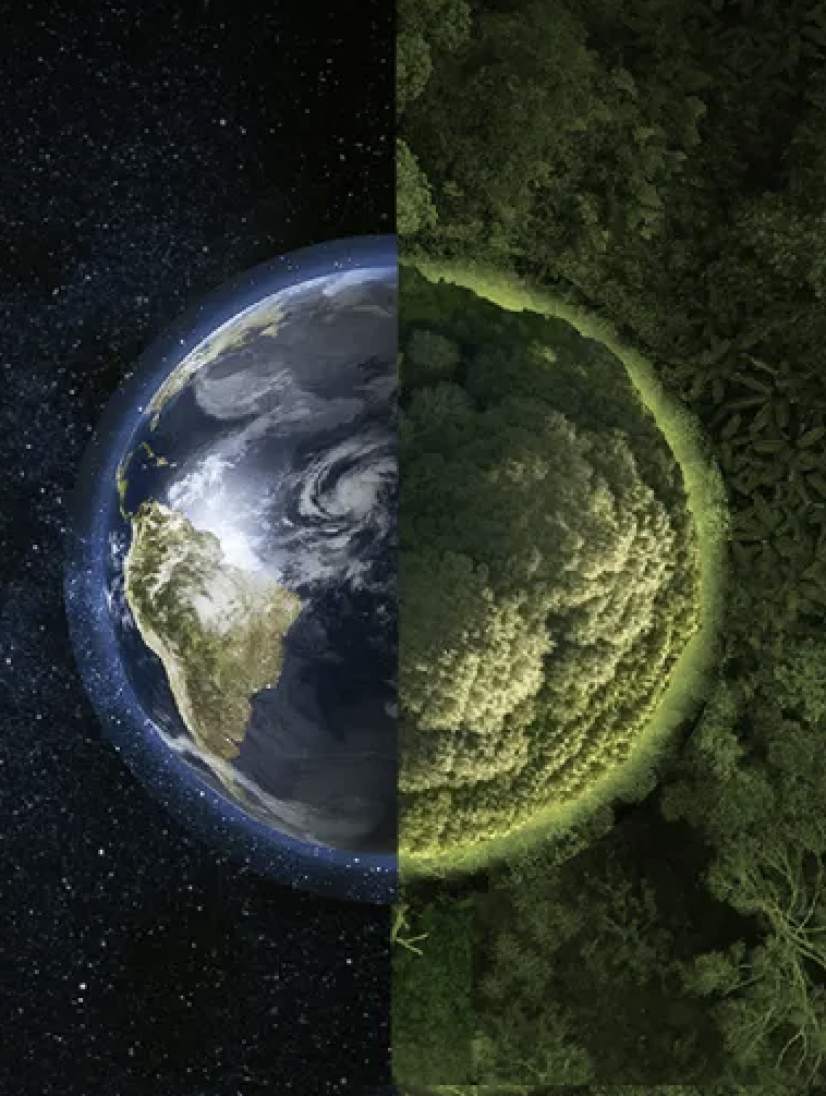 Fórum Ambição 2030 e o desenvolvimento sustentável