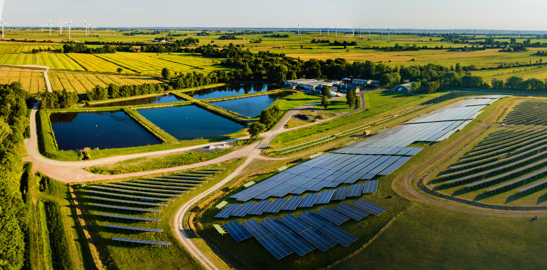 Soluções de Baixo Carbono: empresas e agricultura no caminho do desenvolvimento sustentável