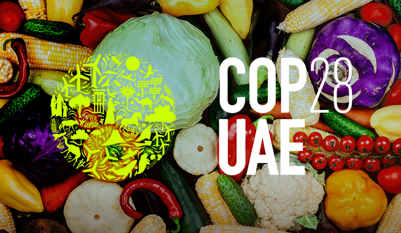 28ª Conferência das Partes (COP28) e o seu legado para o setor de alimentos e agricultura