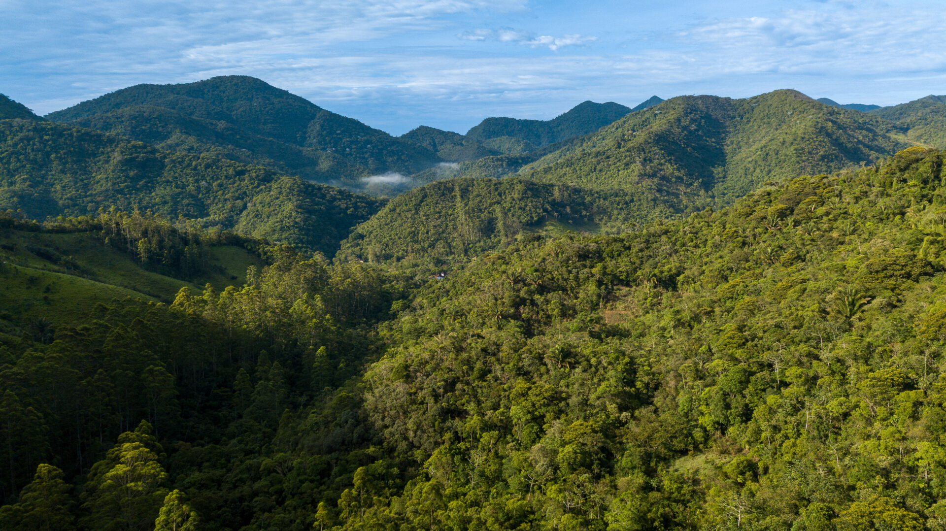 Mata atlântica, o bioma mais biodiverso e ameaçado do Brasil