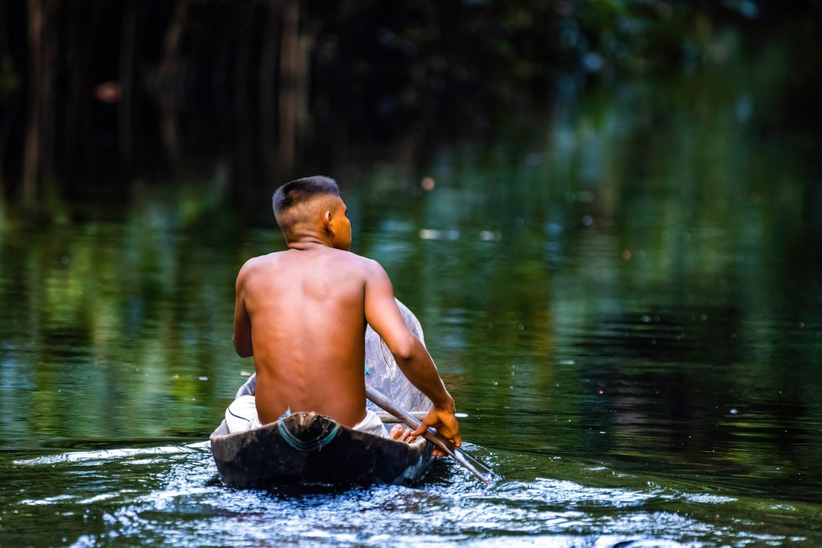Amazônia viva: um caminho decisivo para um futuro sustentável