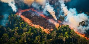 Brasil bate recorde de queimadas